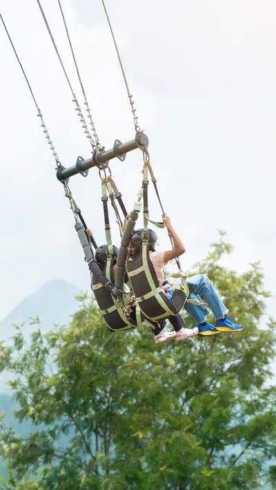 Giant Swing Giant Swing