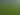 Bhoomiputhra Tea Plantation Gardens Bhoomiputhra Tea Plantation and Tea Factory in Wayanad Kerala