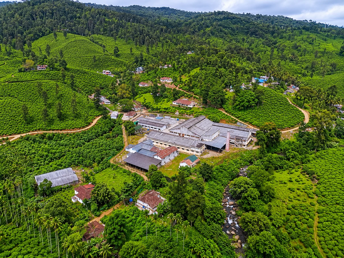 Bhoomiputhra Tea Plantation Gardens Bhoomiputhra Tea Plantation and Tea Factory in Wayanad Kerala